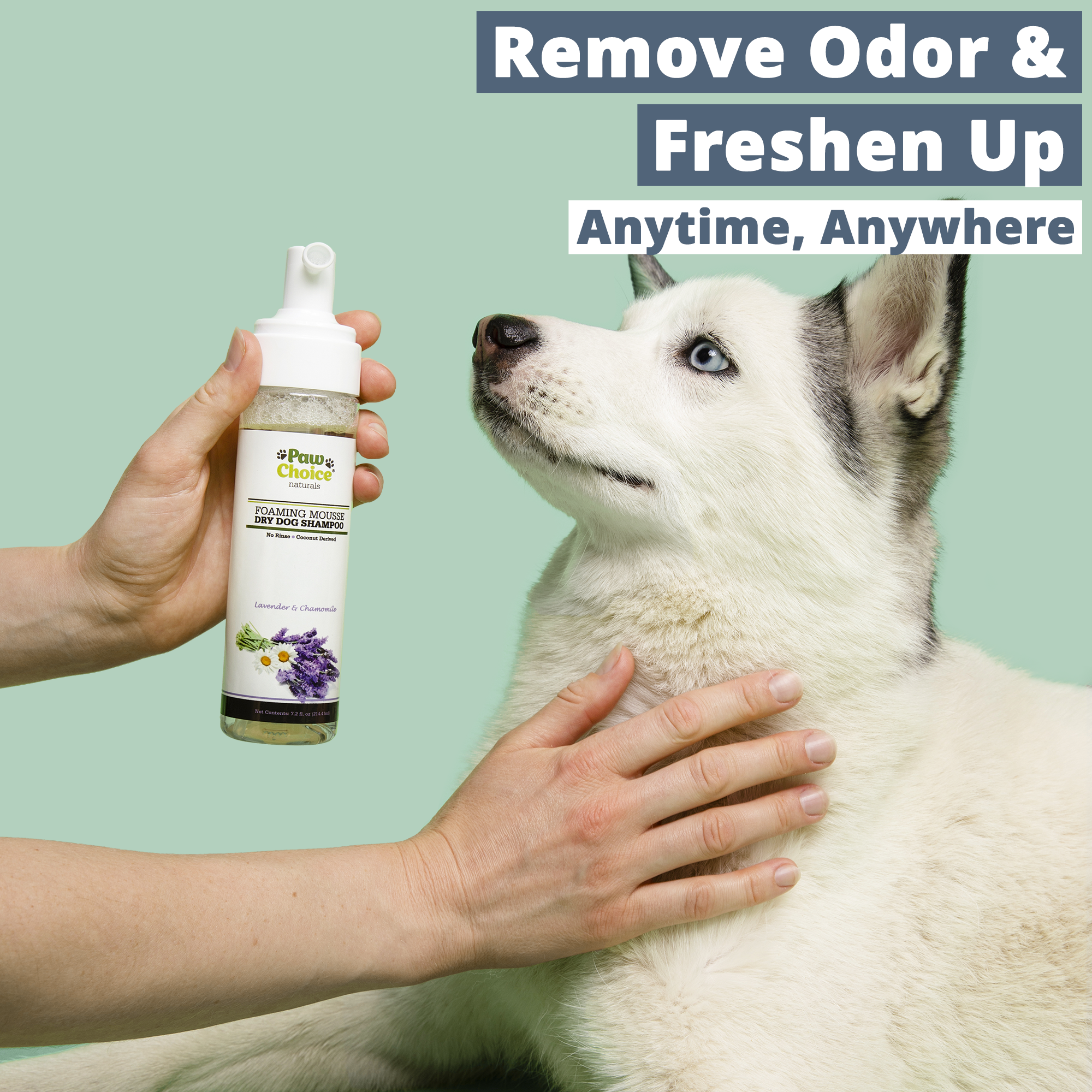 faktor Antibiotika Rund ned Dry Shampoo For Dogs - No Rinse Waterless Foam Bath | Paw Choice®