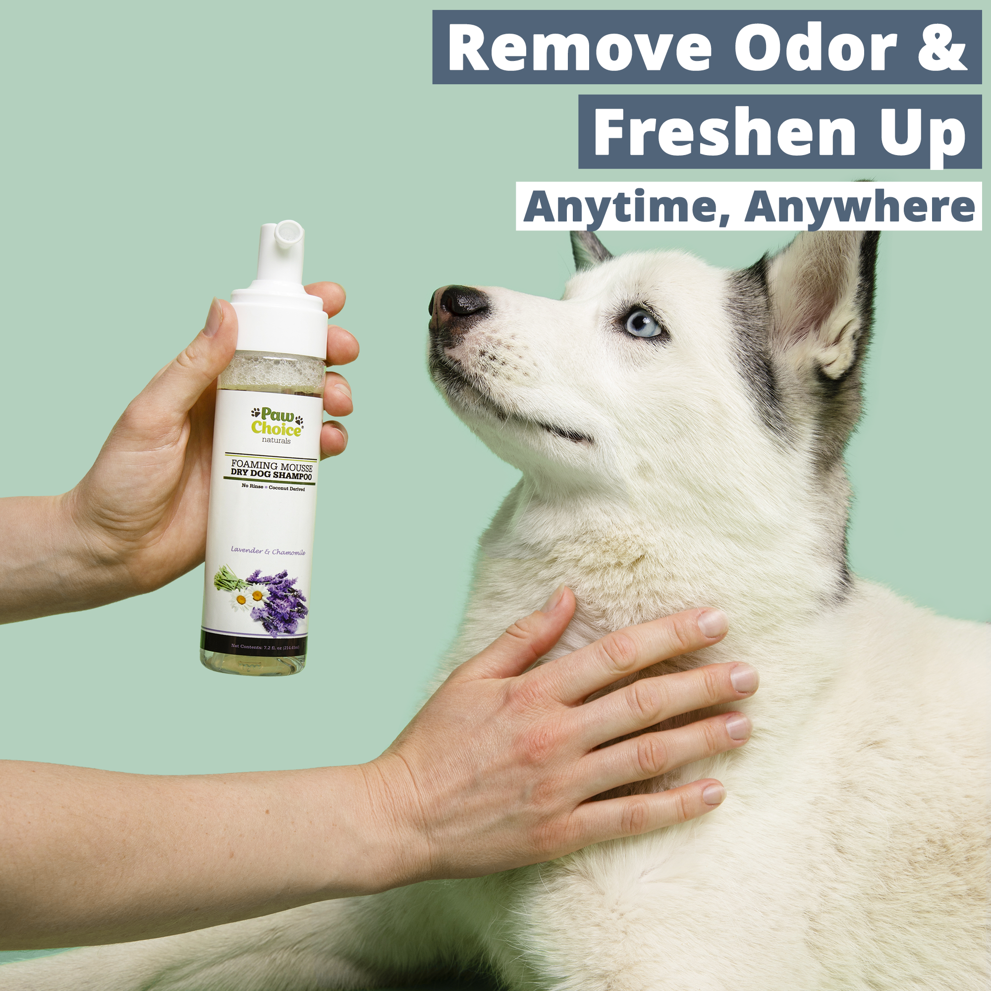 Dry Shampoo For Dogs No Rinse Waterless Foam Bath Paw Choice