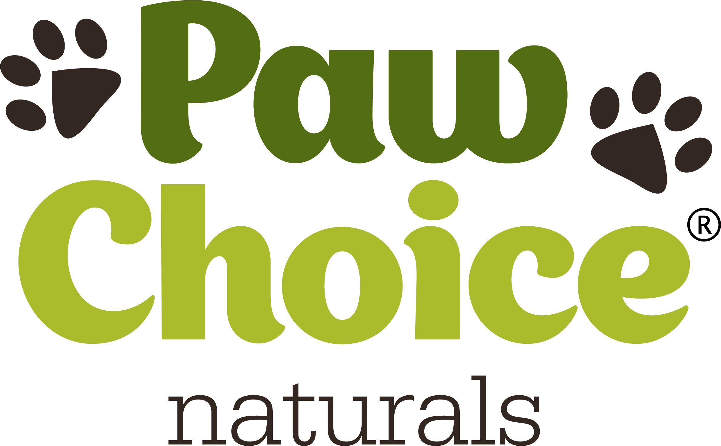 Paw choice deals dry dog shampoo