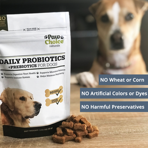 Probiotics for Dogs with Prebiotics | 60 Soft Chews