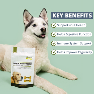 Probiotics for Dogs with Prebiotics | 60 Soft Chews