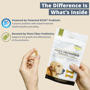 Probiotics for Dogs with Prebiotics | 60 Soft Chews