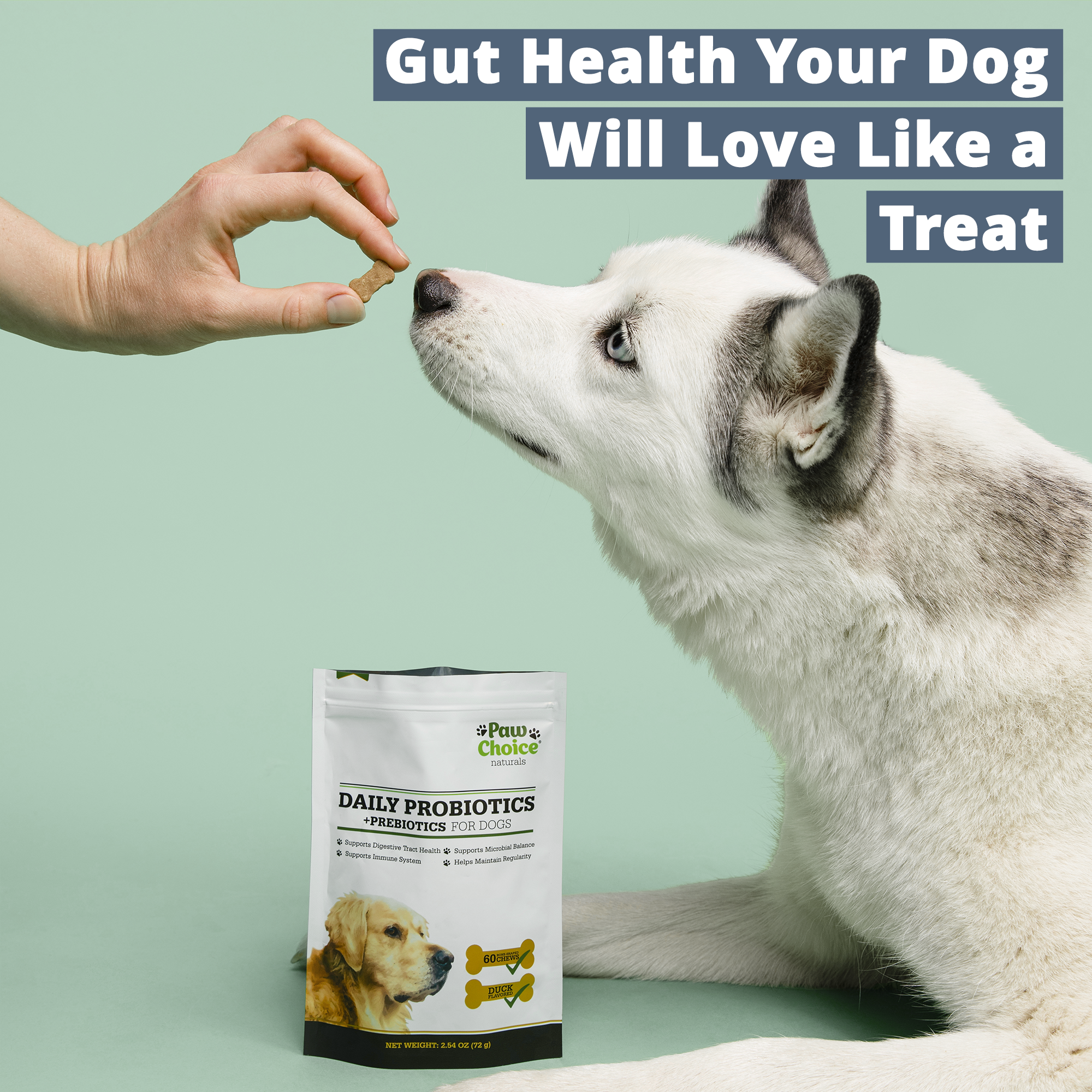 Prebiotics online for dogs