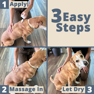 No-Rinse Waterless Dry Dog Shampoo