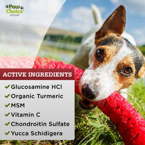 Advanced Hip and Joint Supplement for Dogs | 120 Soft Chews