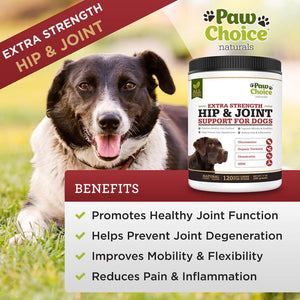 Advanced Hip and Joint Supplement for Dogs | 120 Soft Chews