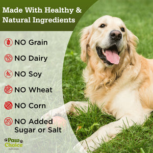 Probiotics for Dogs with Prebiotics and Digestive Enzymes (Grain Free) | 120 Soft Chews